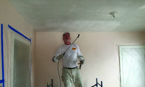 Popcorn Ceiling Removal By Certapro Painters Of Plymouth Mi